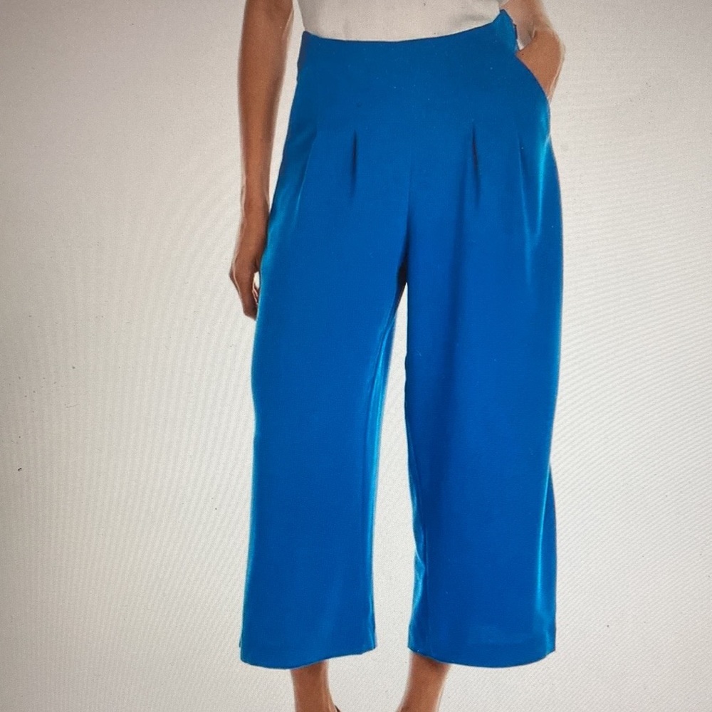 Ted baker zettah pleaded culottes